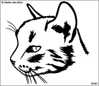 Amnat, Profil de chat (avec marques)