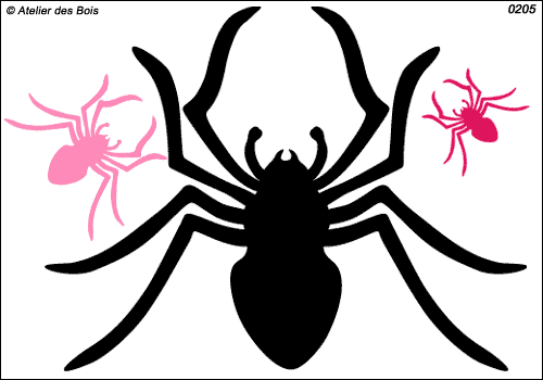 Araignée pattes larges, petits et moyens modèles