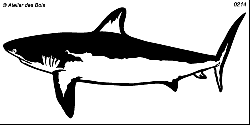 Requin modèle 1