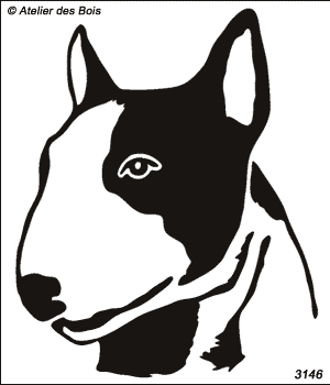 Jeffrey, Tête de Bull Terrier bicolore (Traits foncés)