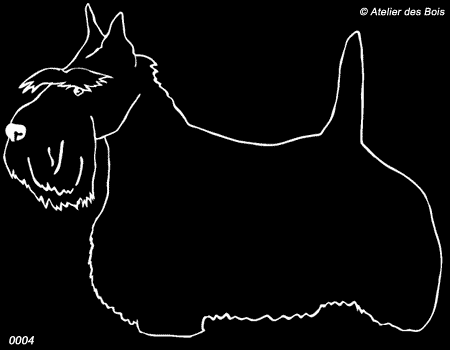 Dundee, Scottish Terrier debout (Traits clairs fins)