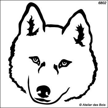 Iganka, Tête de Siberian Husky, modèle blanc