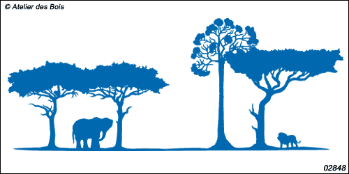 Habakobi, Paysage Elephant et Lion