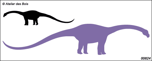 Collection Dinosaures : silhouette de Diplodocus 824