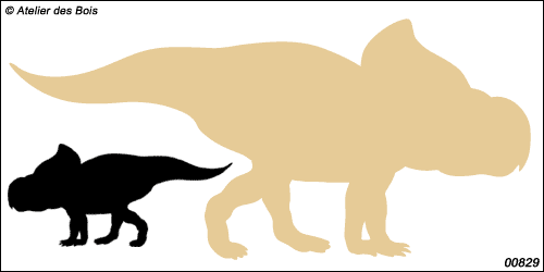 Collection Dinosaures : silhouette de Protocératops 829