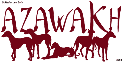 Graphisme Azawakh avec 5 silhouettes