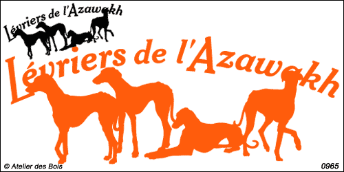 Lettrage courbe Lévriers de l'Azawakh avec 4 silhouettes