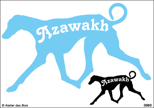 Silhouette Azawakh avec lettrage en découpe tête à gauche