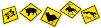 Autocollants Australiens