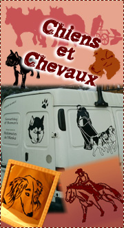 D�cors Chiens et Chevaux
