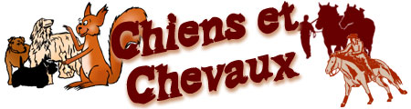 Décors Chiens et Chevaux