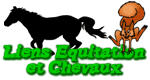Liens �quitation et chevaux