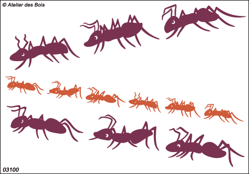 Ensemble de fourmis vues du côté 3100