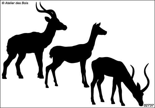 Ngara, les Impalas : silhouettes modèles 1 + 2 + 3