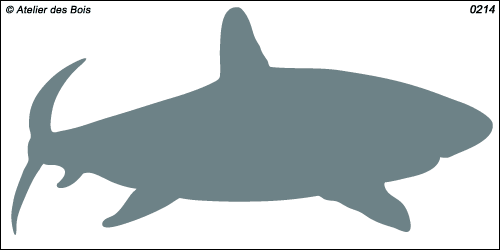 Silhouette de Requin modèle 5