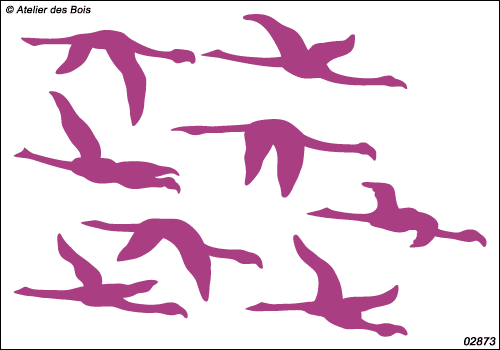 Rujewa, vol de 8 flamants roses