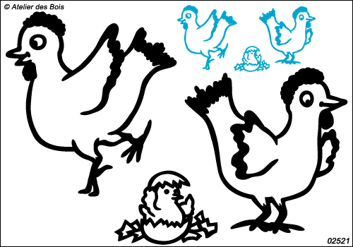 Les Poules de Colette, 2 poules caquetantes et un poussin M1