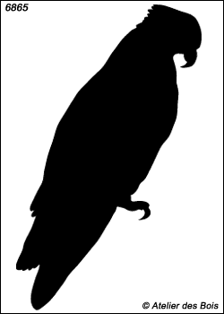 Silhouette de balbuzard modèle 3