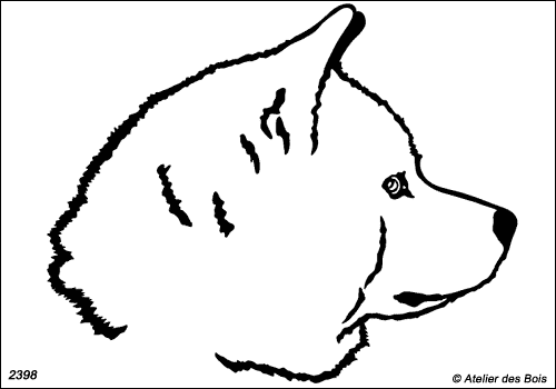 Ishiroko, Tête d'Akita Inu profil (Contours)