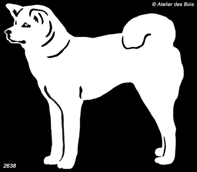 Kyogan, Akita Inu debout (Clair, Traits larges)