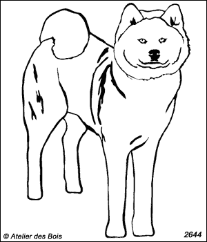 Hishagata, Akita Inu debout (Traits fins)