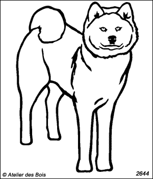 Hishagata, Akita Inu debout (Traits larges)