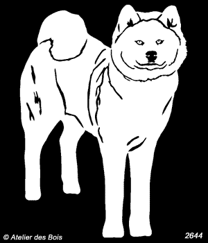 Hishagata, Akita Inu debout (Clair, Traits fins)