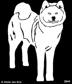 Hishagata, Akita Inu debout (Clair, Traits larges)