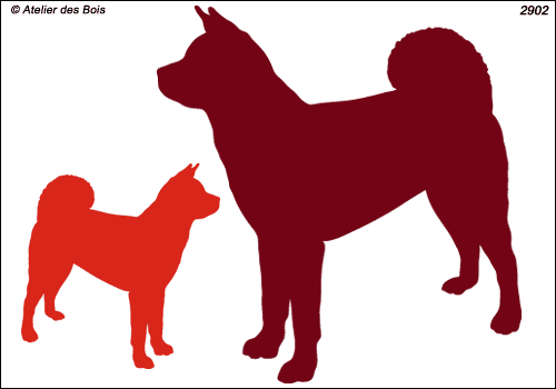 Silhouette de Grand Chien Japonais (Akita Américain)