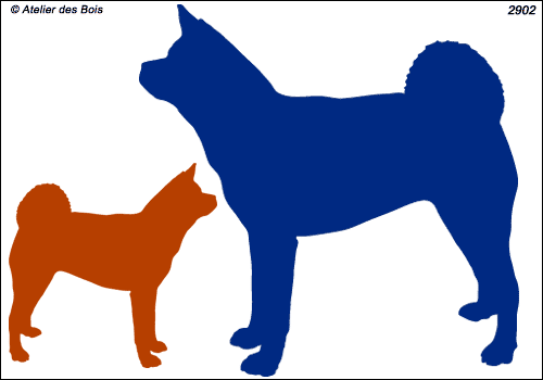 Silhouette de Grand Chien Japonais (Akita Américain)