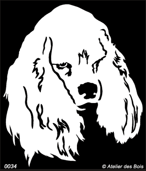 Brandon, Tête de Cocker Américain (Fond, traits fins)
