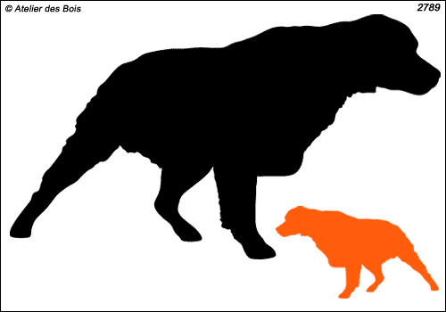 Silhouette d'Epagneul Breton à l'arrêt N° 1