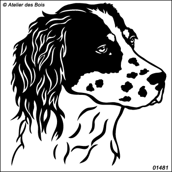 Allan, tête de Setter Anglais oreilles noires