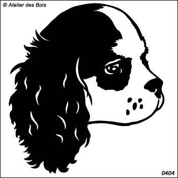 Athena, Profil de Cavalier King Charles (traits noirs)