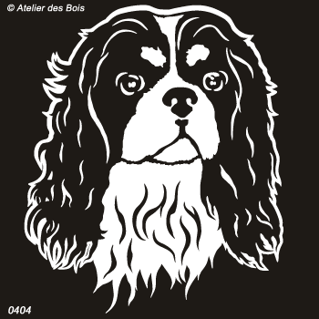 Sully, Tête de Cavalier King Charles (traits blancs)