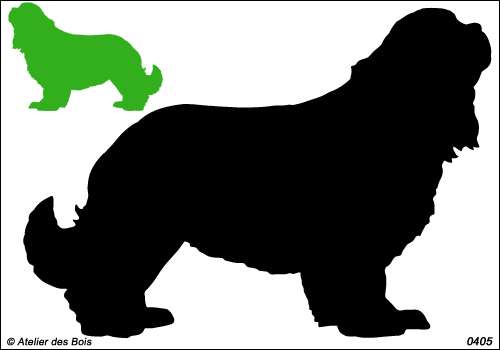 Silhouette de Cavalier King Charles 3