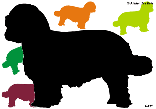 Harry, Silhouette de Cavalier King Charles debout