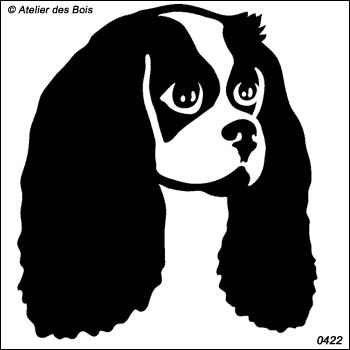 Richard, Tête de Cavalier King Charles (Contours larges)