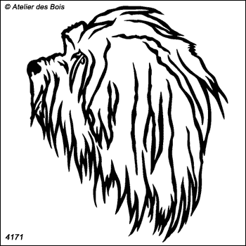 Gildas, Profil de Petit Chien Lion (Traits)