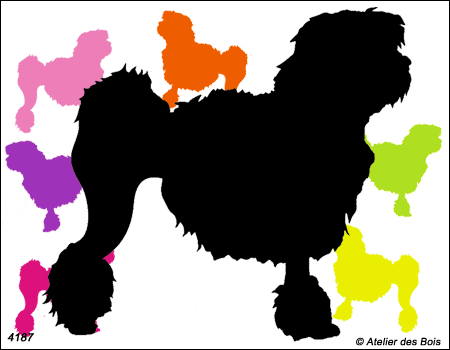 Roby, Silhouette de Petit Chien Lion debout