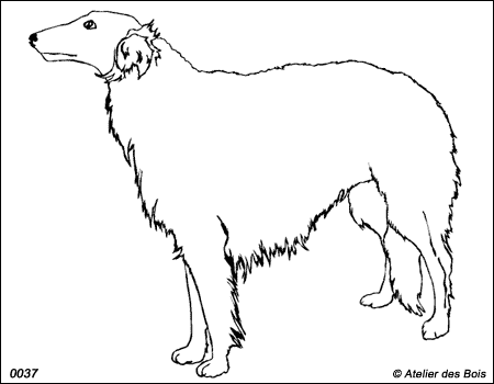 Dorofeï, Barzoï debout (Contours fins)