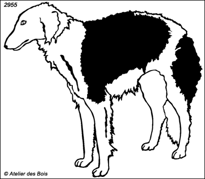 Grichka, Barzoï debout (Contours fins)