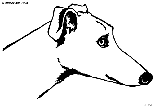 Marco, Portrait de Galgo 3590