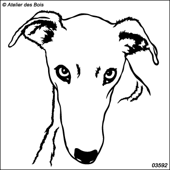 Agustin, Portrait de Galgo 3592