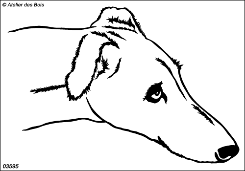 Cuento, Portrait de Galgo 3595