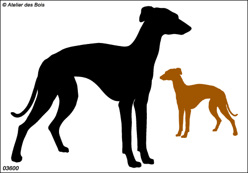 Silhouette de Galgo debout 3600