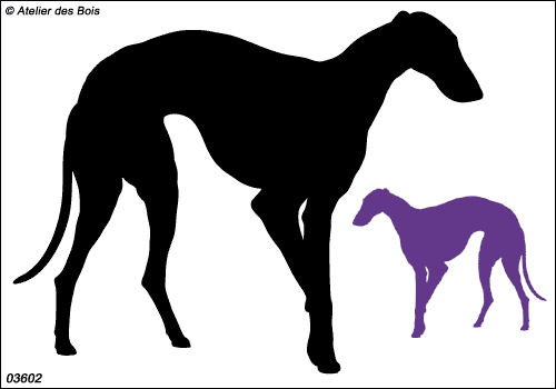 Silhouette de Galgo debout 3602