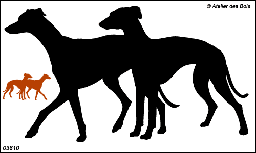 Silhouettes de deux Galgos debout 3610