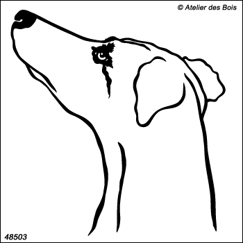 Ashford, portrait de Greyhound M503