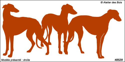 Silhouette de trois Greyhounds M529